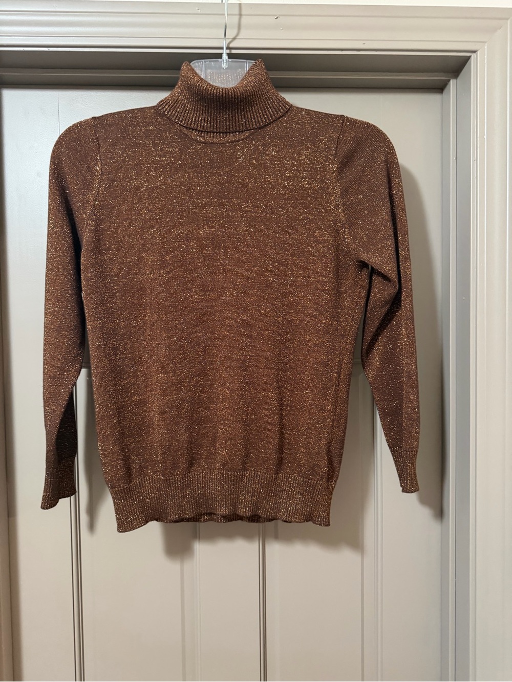 Joseph A Brown Metallic Turtleneck Sweater Size L PERFECT FOR FALL